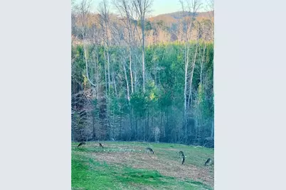 5280 Tabernacle School Road, Asheboro, NC 27205 - Photo 20