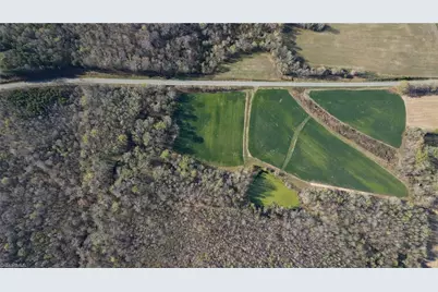 1337 Candy Creek Road, Reidsville, NC 27320 - Photo 4