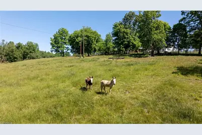 1850 Statesville Road, North Wilkesboro, NC 28697 - Photo 38