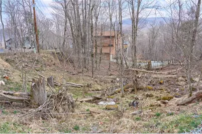 101 Foxgrape Hollow Road, Beech Mountain, NC 28604 - Photo 2