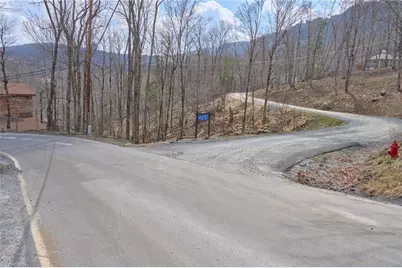 101 Foxgrape Hollow Road, Beech Mountain, NC 28604 - Photo 6