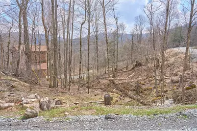 101 Foxgrape Hollow Road, Beech Mountain, NC 28604 - Photo 1