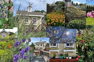 3303 Bardwell Rd, Greensboro, NC 27410 - Photo 48