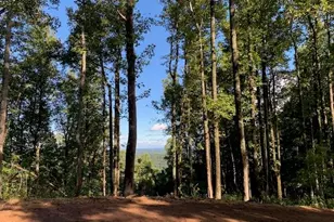 2480 Bethany Church Rd, Moravian Falls, NC 28654 - Photo 1