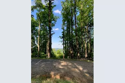 2480 Bethany Church Road, Moravian Falls, NC 28654 - Photo 4