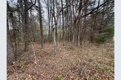 0 Brims Grove Road, Pinnacle, NC 27043 - Photo 6
