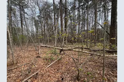 0 Brims Grove Road, Pinnacle, NC 27043 - Photo 4