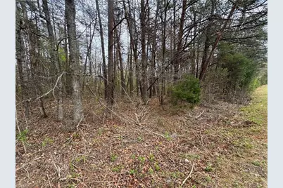 0 Brims Grove Road, Pinnacle, NC 27043 - Photo 10
