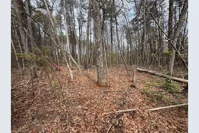 0 Brims Grove Road, Pinnacle, NC 27043 - Photo 8