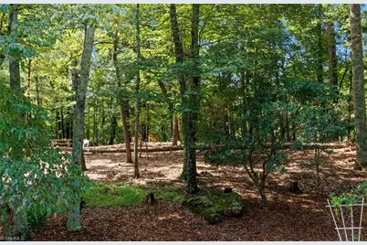 1502 Greenstreet Drive, Traphill, NC 28685 - Photo 18