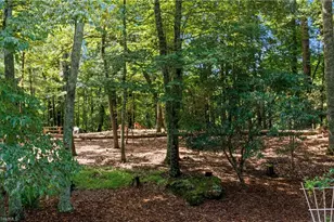 1502 Greenstreet Dr, Traphill, NC 28685 - Photo 18