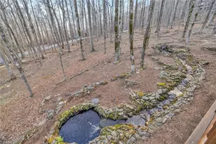 632 Big Tree Rd, West Jefferson, NC 28694 - Photo 10