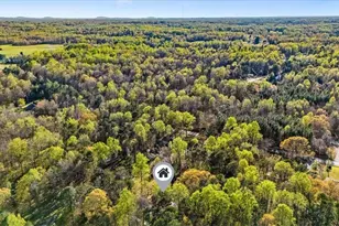 4605 Laura Dr, Climax, NC 27233 - Photo 44