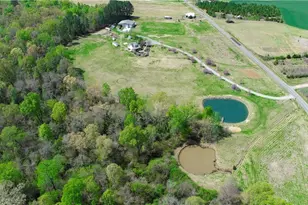 7164 Ludgate Rd, Gibsonville, NC 27249 - Photo 50