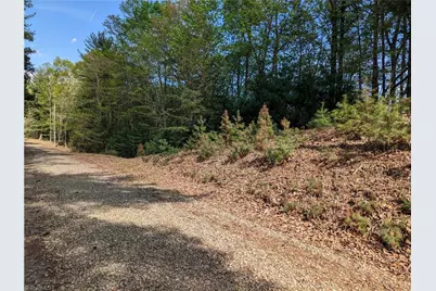 Tbd Sutters Ridge Road #Lot 94, McGrady, NC 28649 - Photo 4