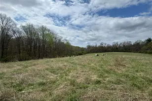 3556 White Plains Rd, Roaring River, NC 28669 - Photo 46