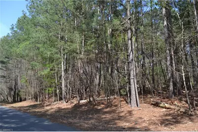 3.6 Acres Fairway Drive, Stoneville, NC 27048 - Photo 2