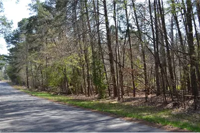 3.6 Acres Fairway Drive, Stoneville, NC 27048 - Photo 10
