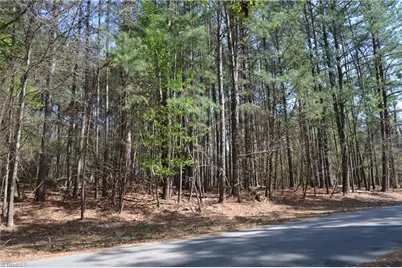 3.6 Acres Fairway Drive, Stoneville, NC 27048 - Photo 4