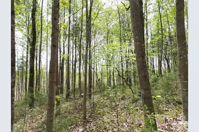 0000 Nc Highway 49 S, Concord, NC 27239 - Photo 32
