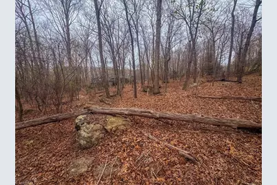 324 Rocky Cove Lane, Denton, NC 27239 - Photo 8