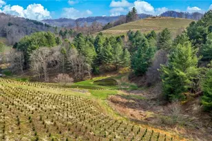 369 Spencer Branch Rd, Lansing, NC 28643 - Photo 46