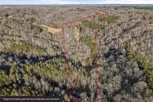 1345 Hardie Mabe Rd, Danbury, NC 27016 - Photo 46