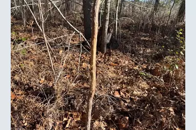 00 Hammonds Road, Lumberton, NC 28360 - Photo 16