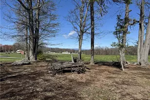 213 Judsville School Rd, Dobson, NC 27017 - Photo 18