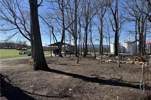 213 Judsville School Rd, Dobson, NC 27017 - Photo 10