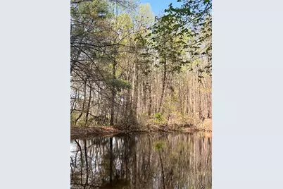 Tbd Caves Mill Road, Dobson, NC 27017 - Photo 2