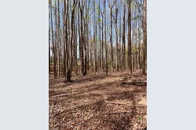 Tbd Caves Mill Road, Dobson, NC 27017 - Photo 4