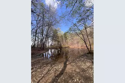 Tbd Caves Mill Road, Dobson, NC 27017 - Photo 10