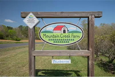 32286 Laton Road, Albemarle, NC 28001 - Photo 4