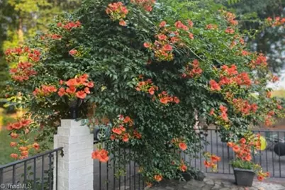 5009 Knob View Trail, Winston-Salem, NC 27104 - Photo 46