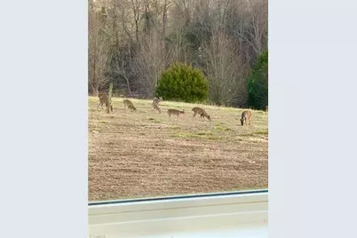 322 Layell Road, Elkin, NC 28621 - Photo 40