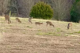 322 Layell Rd, Elkin, NC 28621 - Photo 40