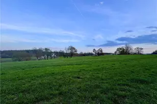 322 Layell Rd, Elkin, NC 28621 - Photo 38