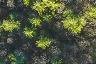 Tbd Lot 1 All Healing Springs Road, Taylorsville, NC 28681 - Photo 8