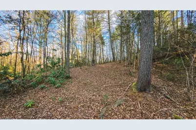 Tbd Lot 1 All Healing Springs Road, Taylorsville, NC 28681 - Photo 10