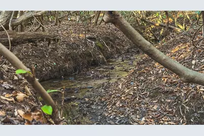 Tbd Lot 1 All Healing Springs Road, Taylorsville, NC 28681 - Photo 14