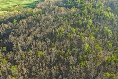 Tbd Lot 2 All Healing Springs Road, Taylorsville, NC 28681 - Photo 8