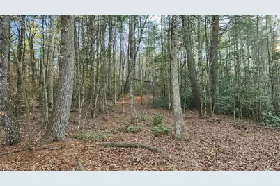 Tbd Lot 2 All Healing Springs Road, Taylorsville, NC 28681 - Photo 18