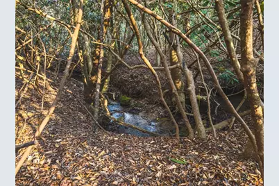 Tbd Lot 2 All Healing Springs Road, Taylorsville, NC 28681 - Photo 10