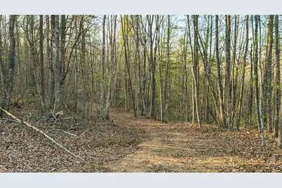 Tbd Lot 2 All Healing Springs Road, Taylorsville, NC 28681 - Photo 22