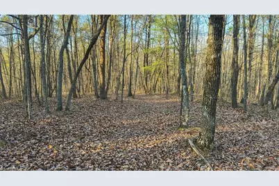 Tbd Lot 2 All Healing Springs Road, Taylorsville, NC 28681 - Photo 26
