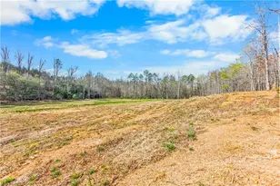 0 Farm Rd, Pilot Mountain, NC 27041 - Photo 12