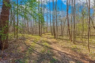 0 Farm Rd, Pilot Mountain, NC 27041 - Photo 2