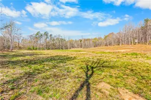 0 Farm Rd, Pilot Mountain, NC 27041 - Photo 14