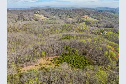 378 Bright Hill Lane, Pilot Mountain, NC 27041 - Photo 10